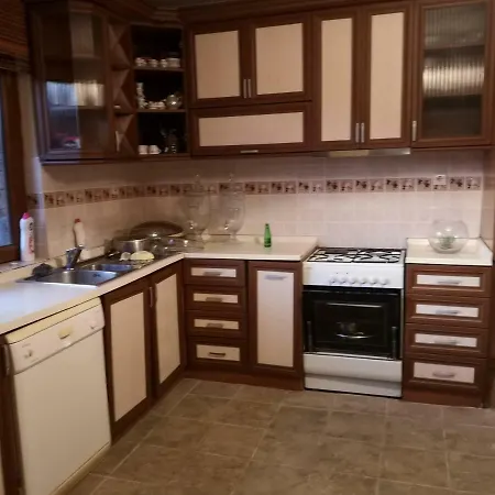 Mustaki Sapanca Manzarali Sakarya (Marmara)